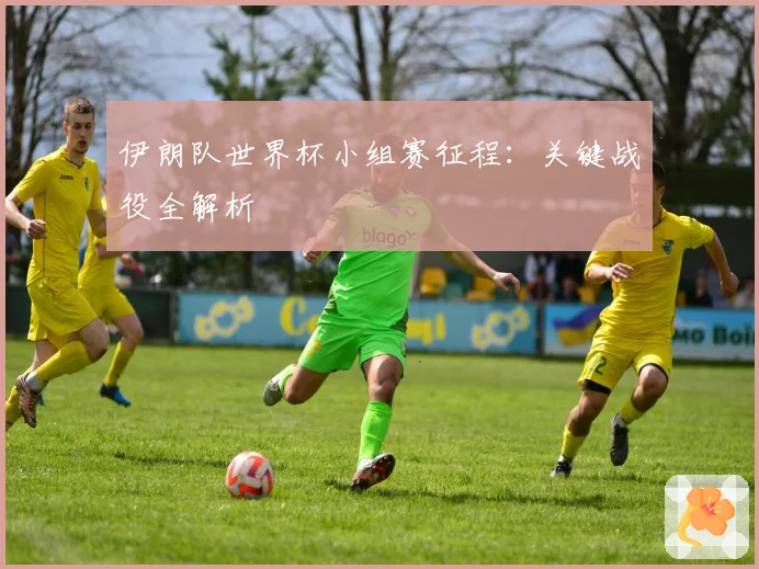 伊朗队世界杯小组赛征程：关键战役全解析