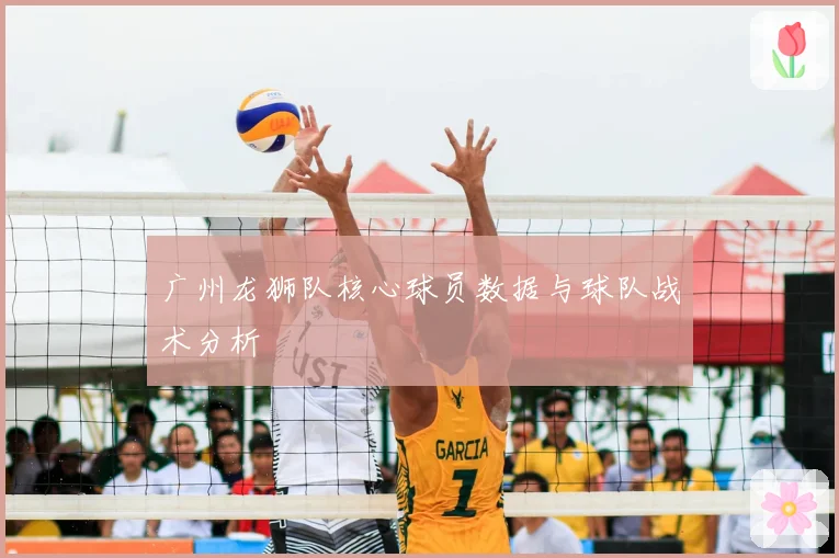 广州龙狮队核心球员数据与球队战术分析
